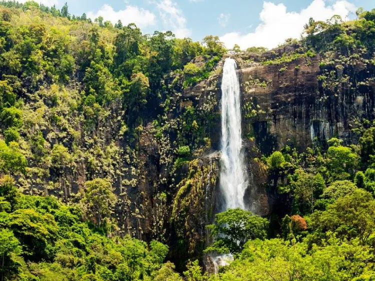 Natural Wonders of Sri Lanka You Should See Once in Your Life 1 bambarakana falls, teh tallest waterfall in sri lanka. one of the true natural wonders of sri lanka