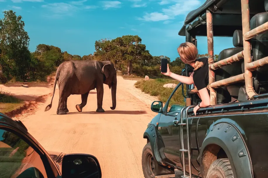 Best National Parks in Sri Lanka