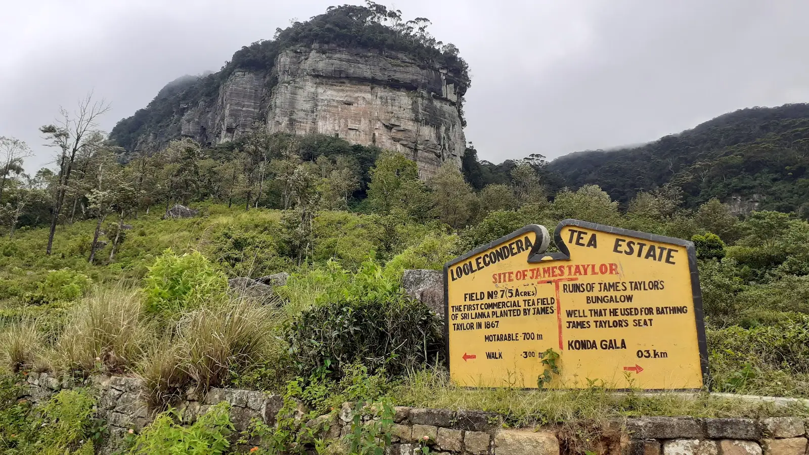 Ancient and old tea estate of lookandura