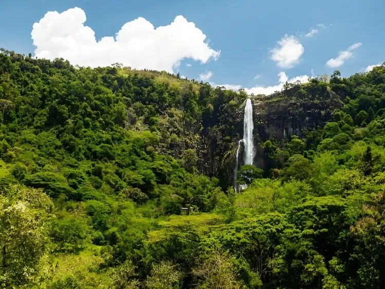 Most Beautiful Waterfalls in Sri Lanka Worth Visiting 1 https://srilankatales.com/wp-content/uploads/2026/03/bambarakanda-waterfall.webp