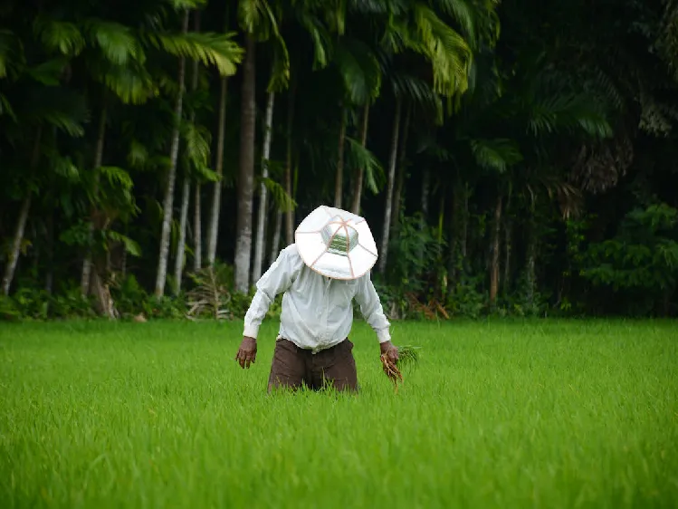 farmer in sri lanka