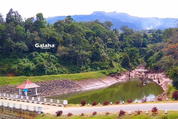 galaha sri lanka