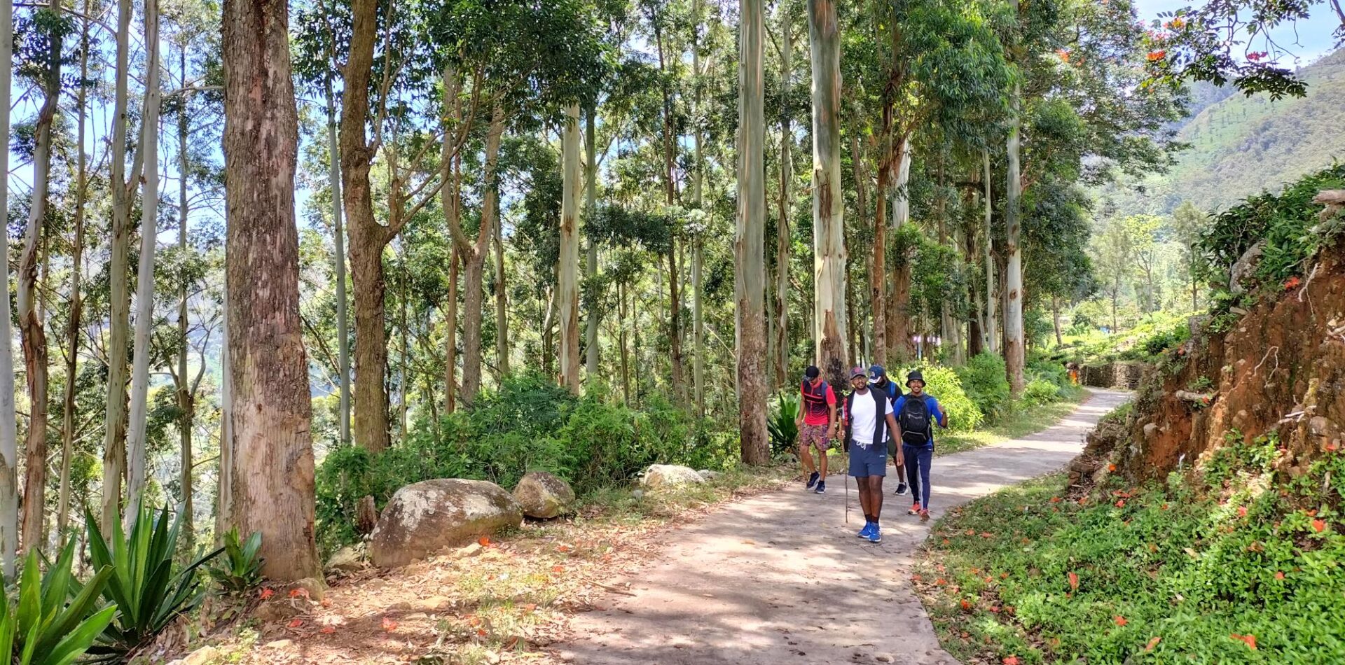 pekoe trails stge2 galaha road