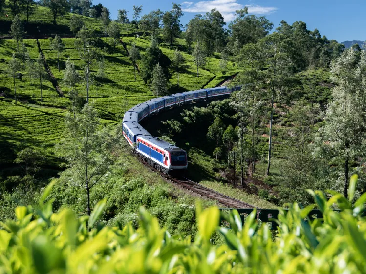 scenic view of sri lankan train ride