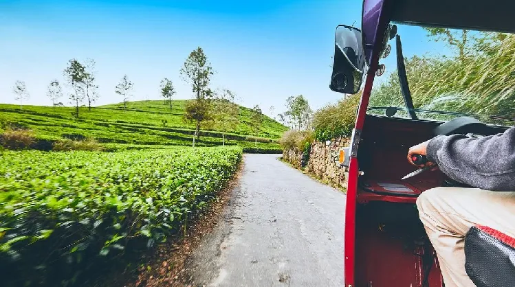 riding a tuk tuk in sri lanka