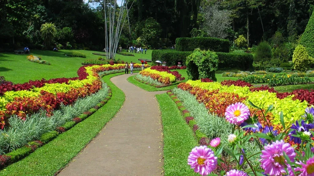 Botnical garden peradeniya