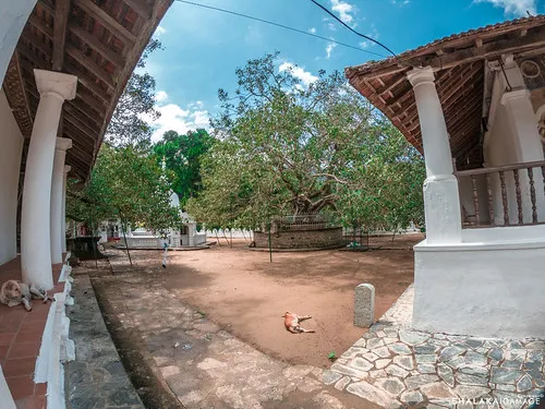 Beauty of sagama raja maha viharaya 