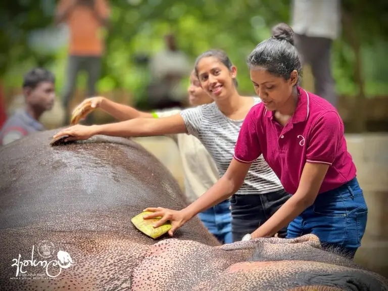 Experiencing the athgala 