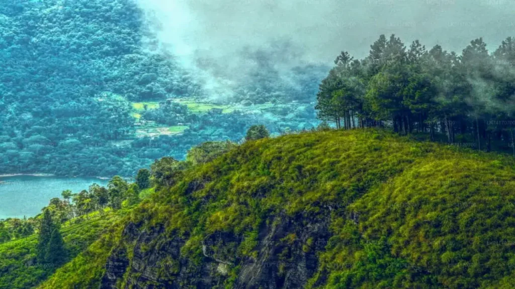 Experiencing the monaragala greatest hike