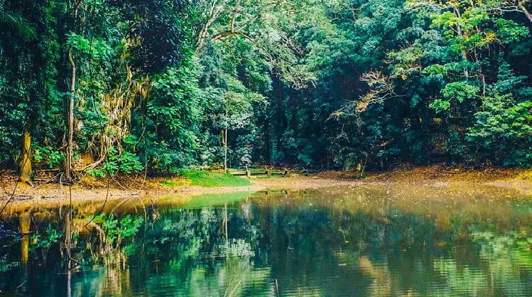 The Royal Pond (Senanayake Samudraya)