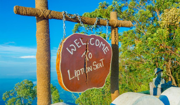 Lipton’s Seat