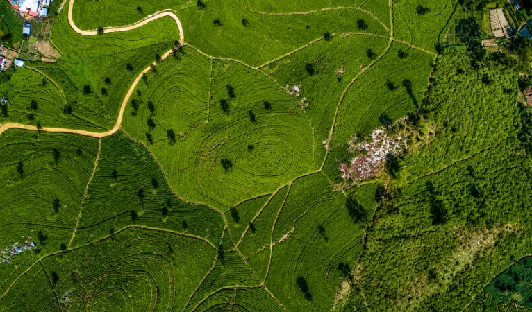 Lipton’s Seat: A Scenic Viewpoint Above Sri Lanka’s Tea Country 6 areal view at lipton's seat