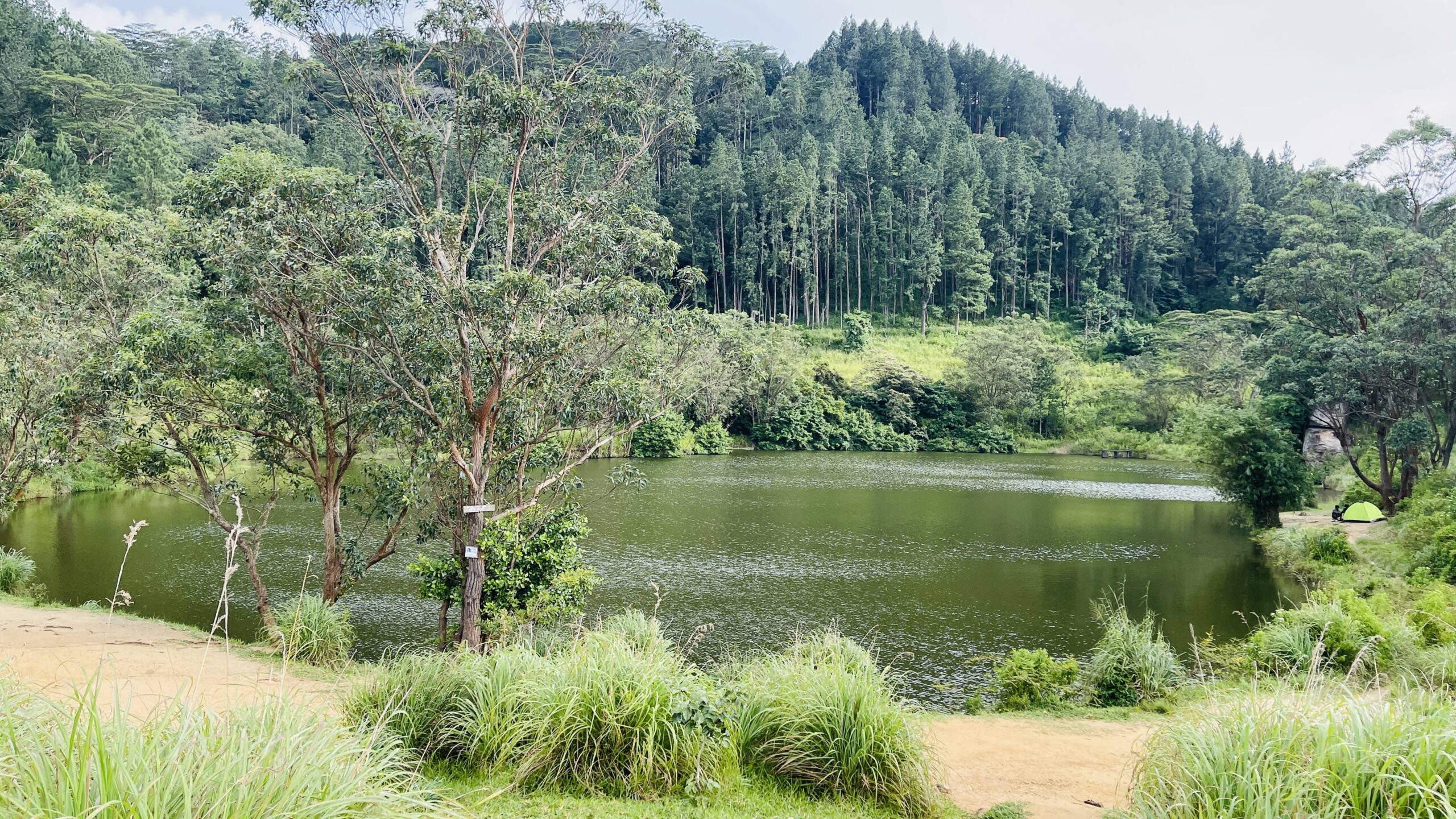 bellwood lake