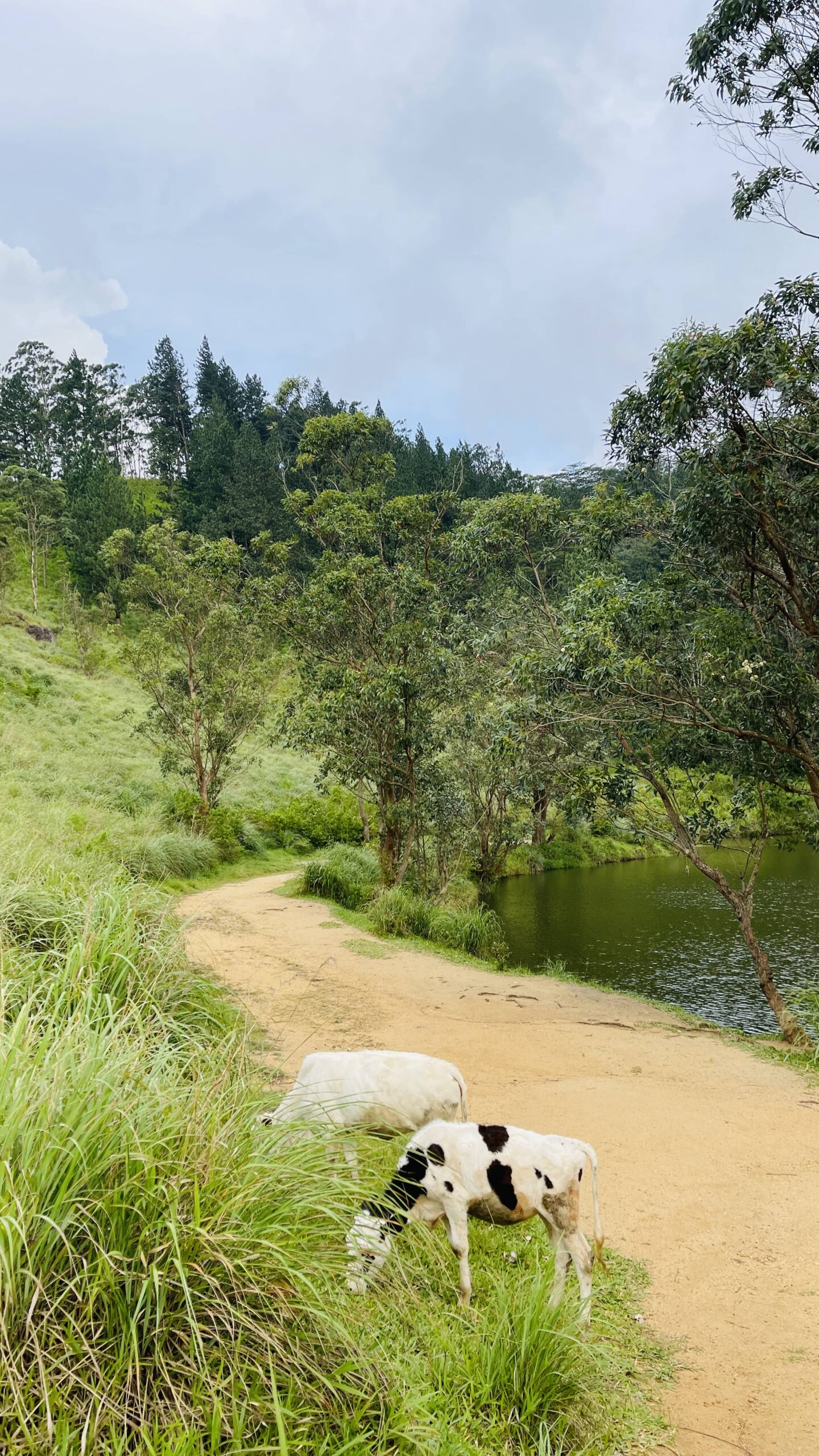 lake.JPG scaled