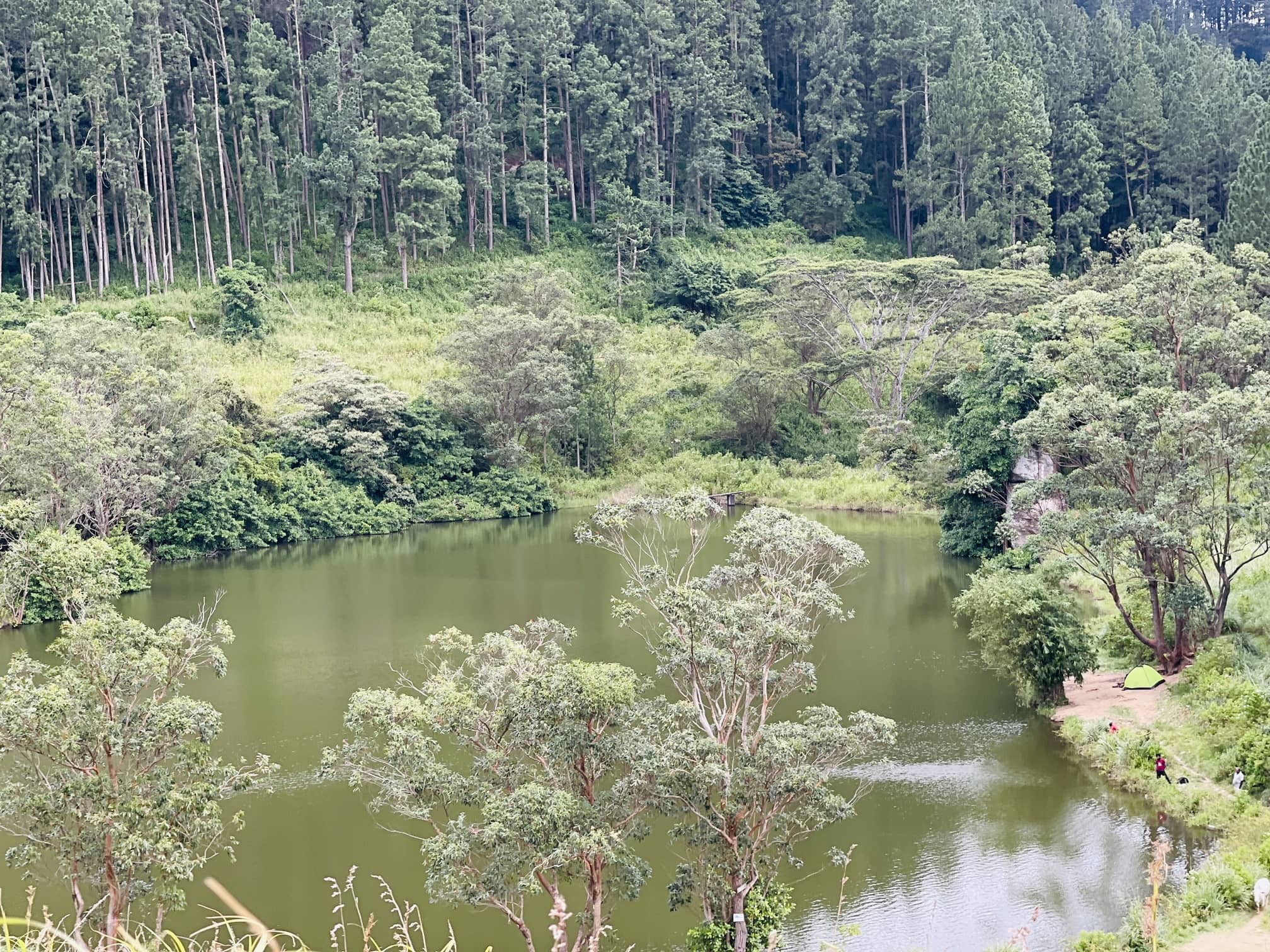 bellwood viewpoint
