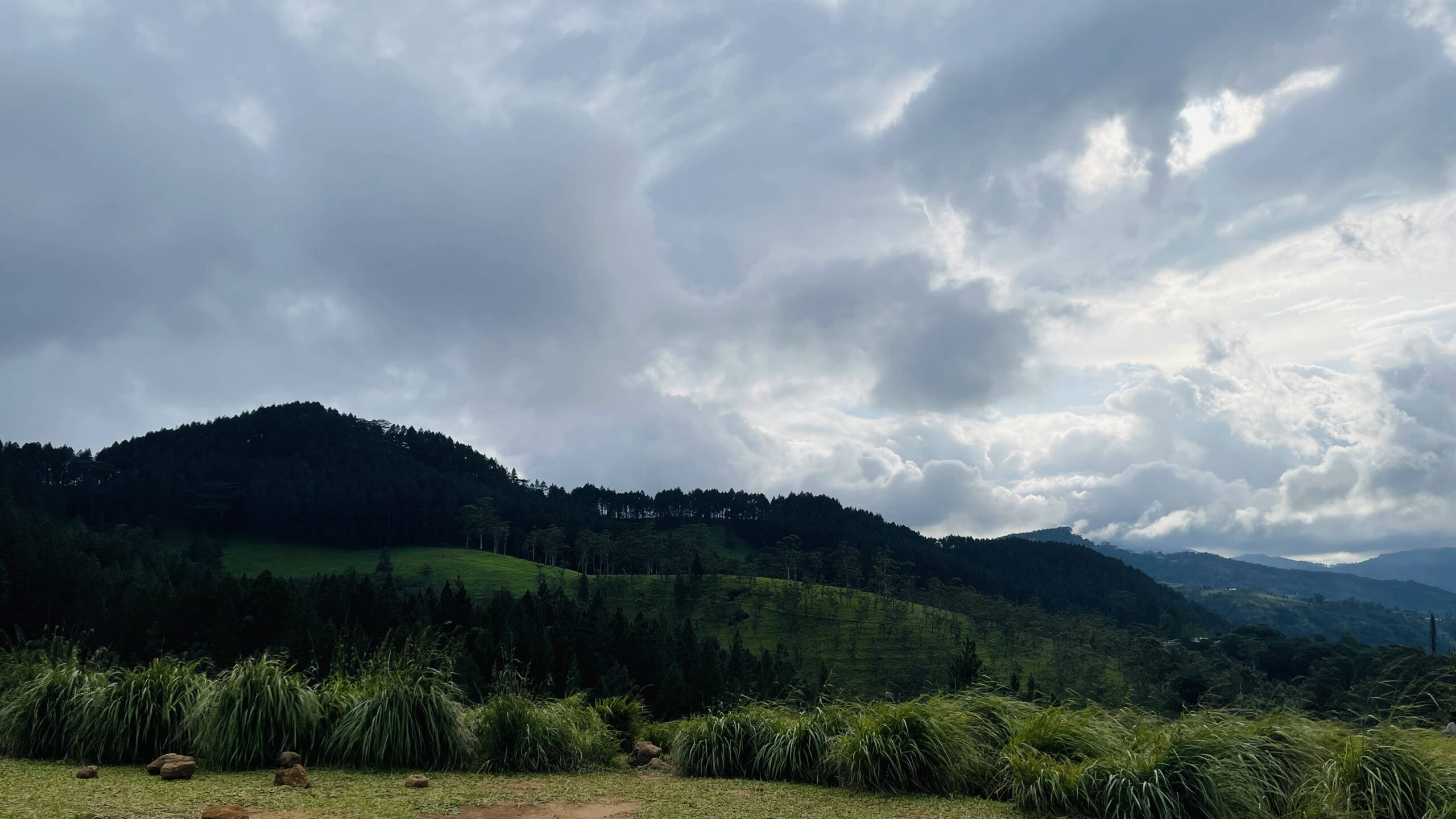 bellwood viewpoint