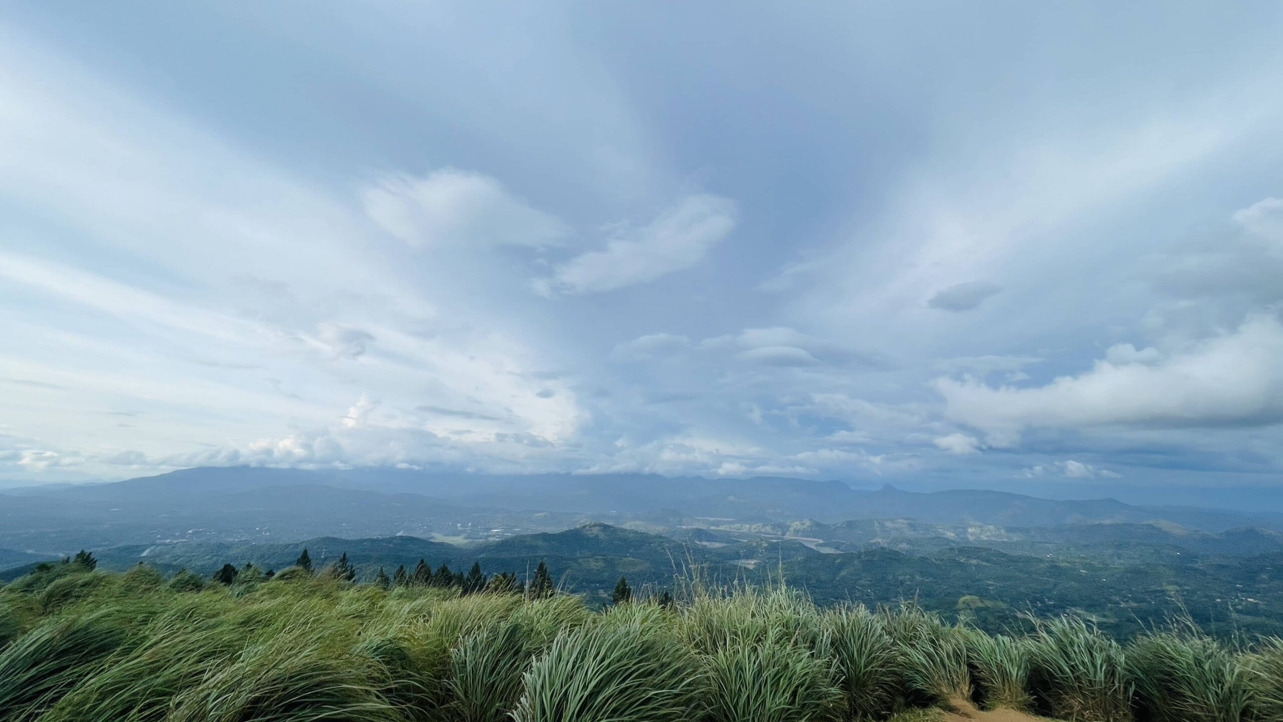 bellwood viewpoint