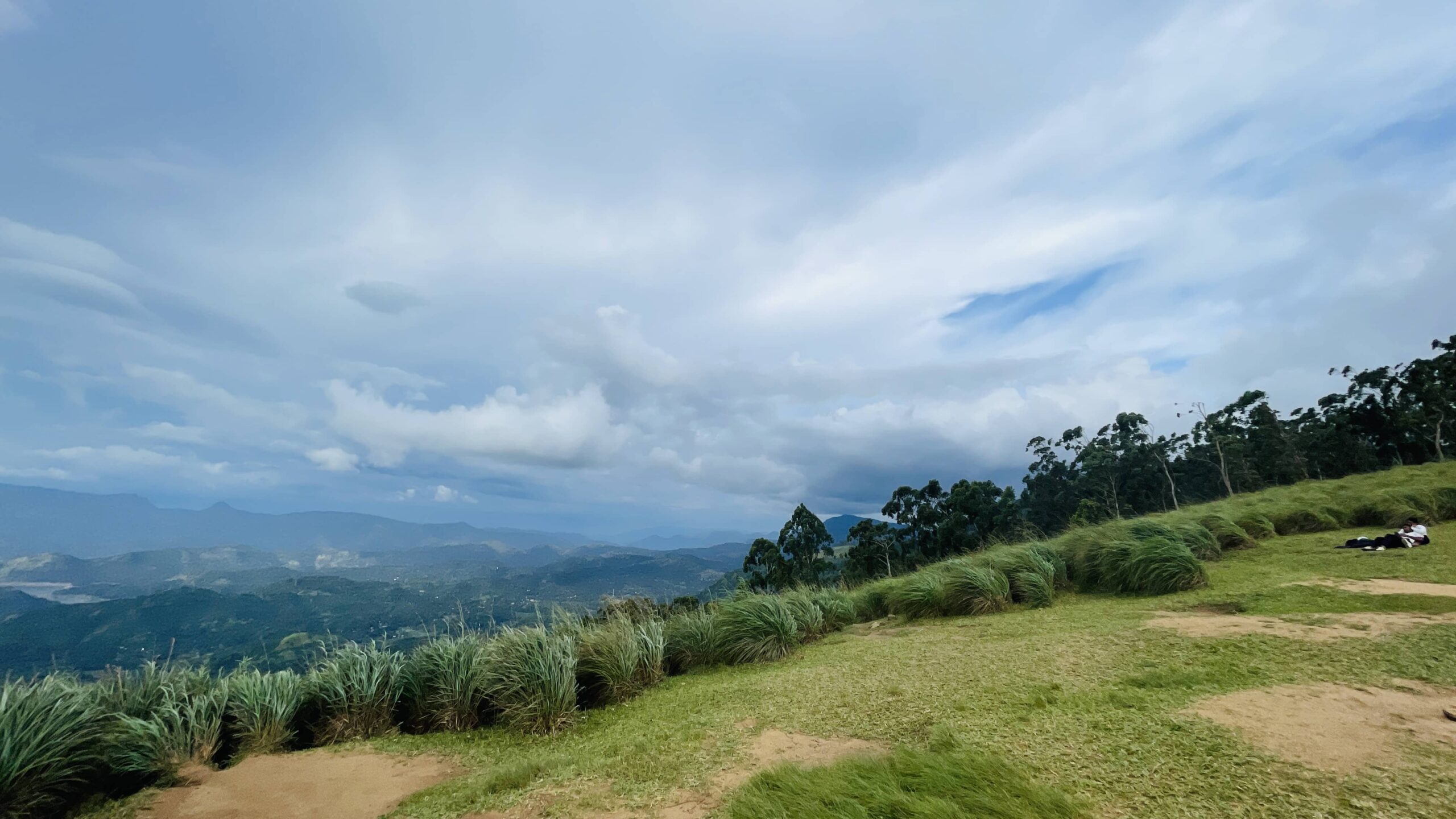 bellwood viewpoint