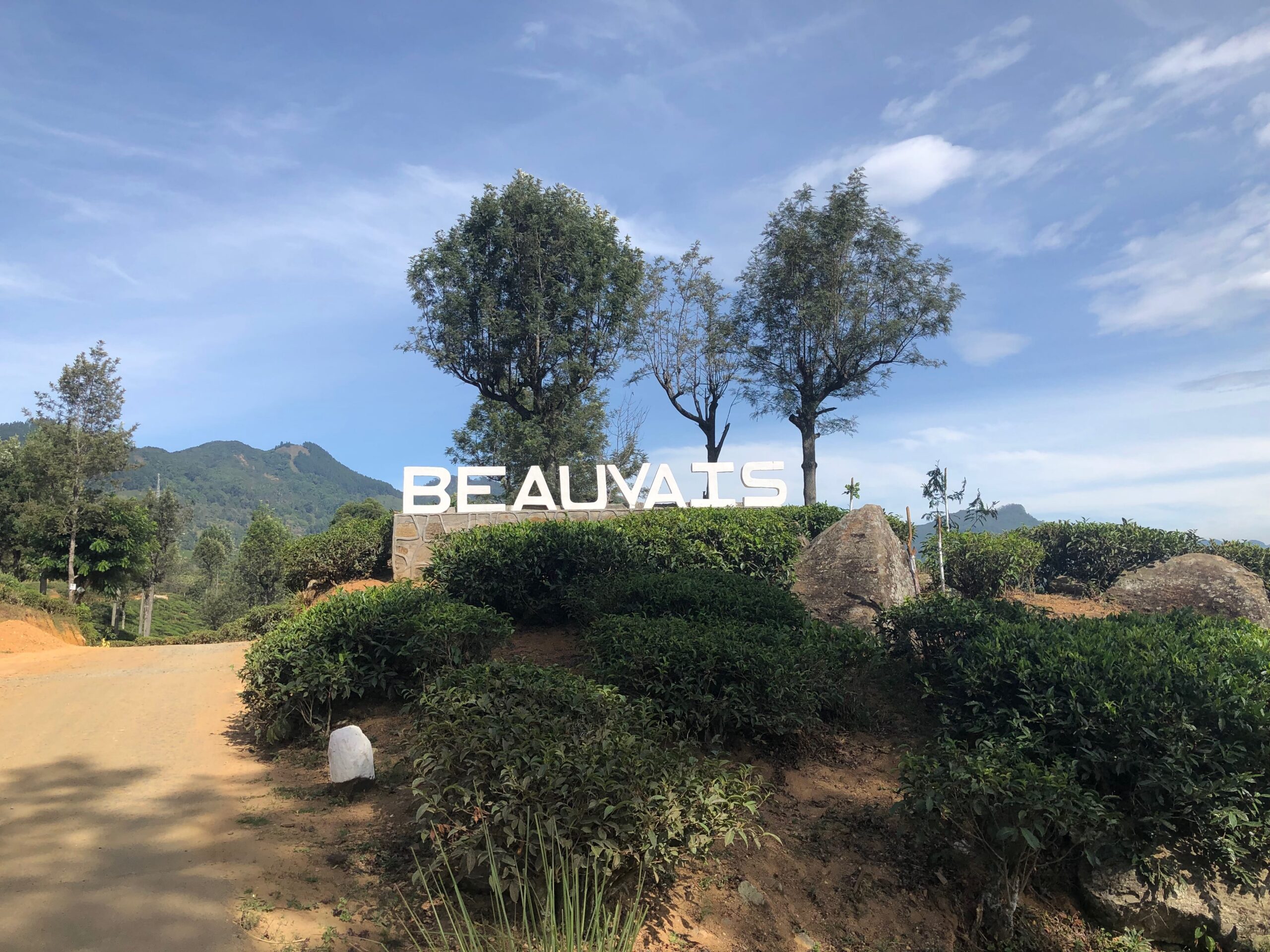 Idalgashinna Railway Station: Sri Lanka's Fifth Highest Station and a Ride Worth Taking 1 tea plantations on the way to the idalgashinnsa railway station