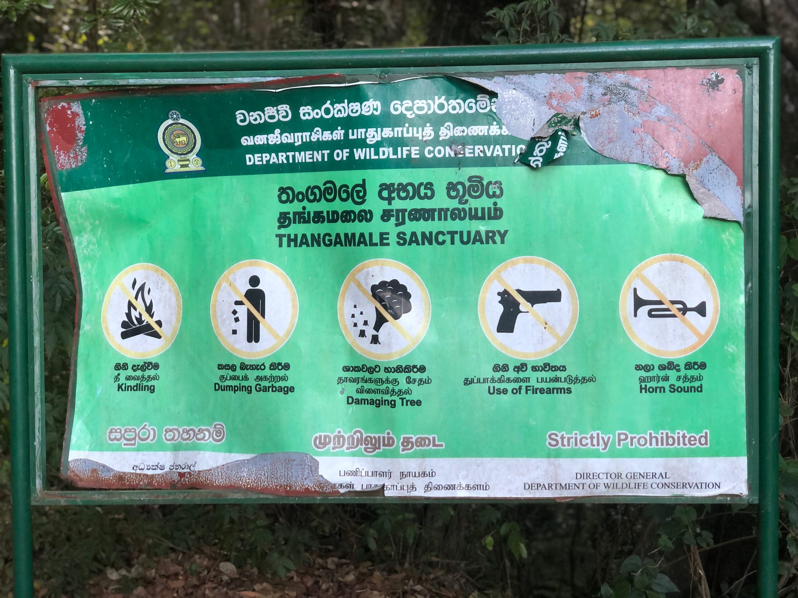 Idalgashinna Railway Station: Sri Lanka's Fifth Highest Station and a Ride Worth Taking 8 Thangamale Bird Sanctuary Board