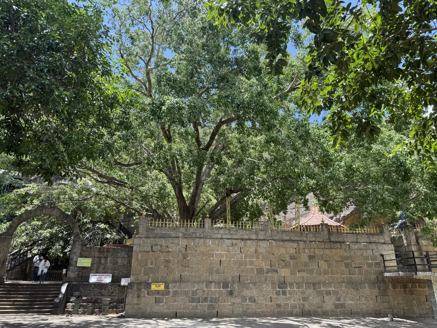 Stone steps and bodhi tree at Sankapala temple entrance.