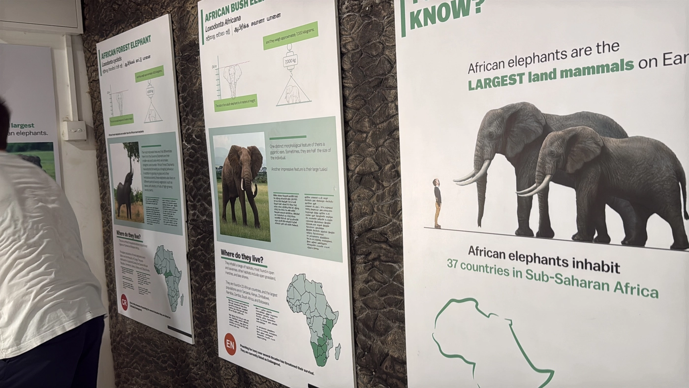 Information panels about African elephants on a wall