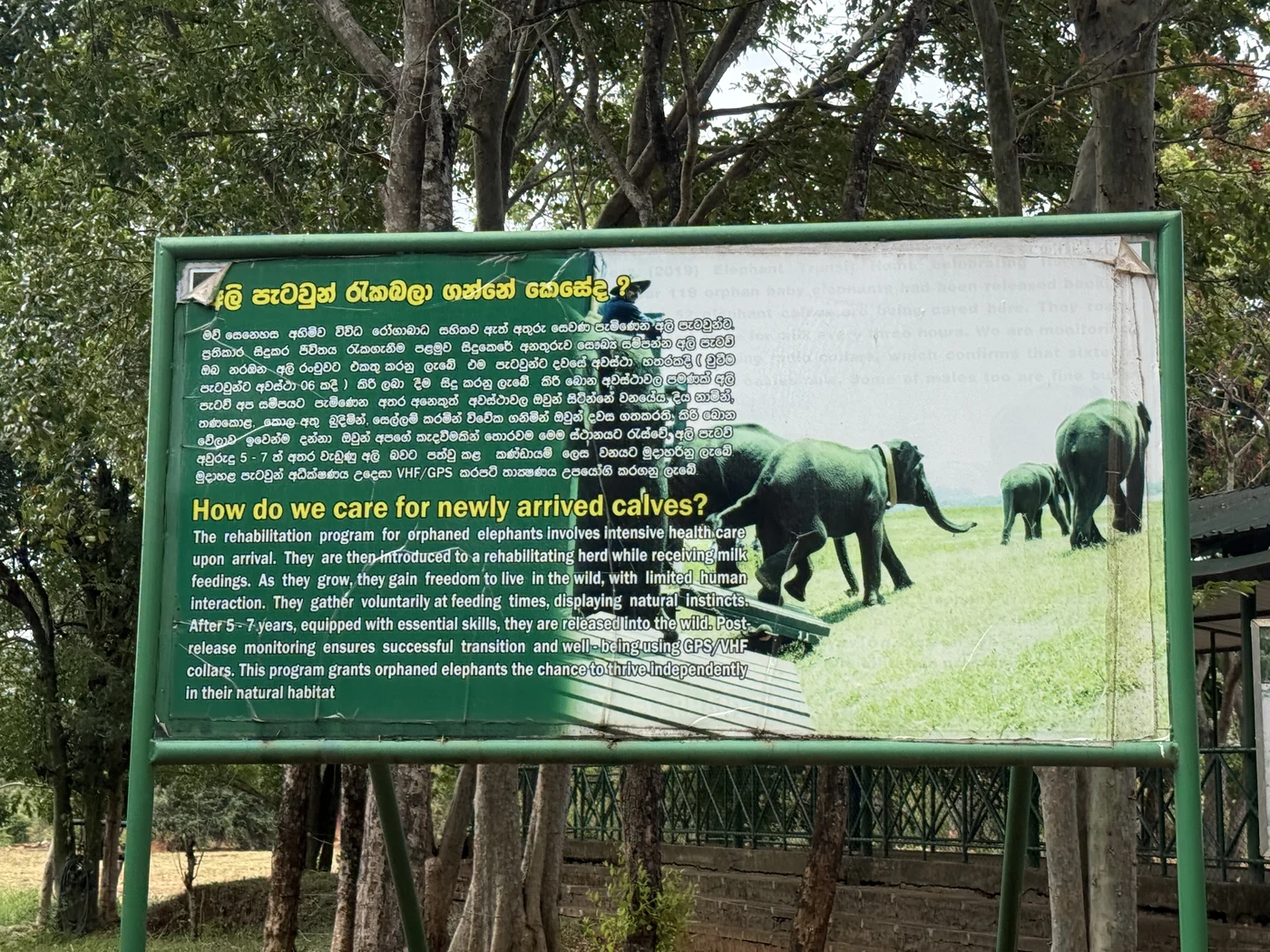 Signboard about calf care and release monitoring