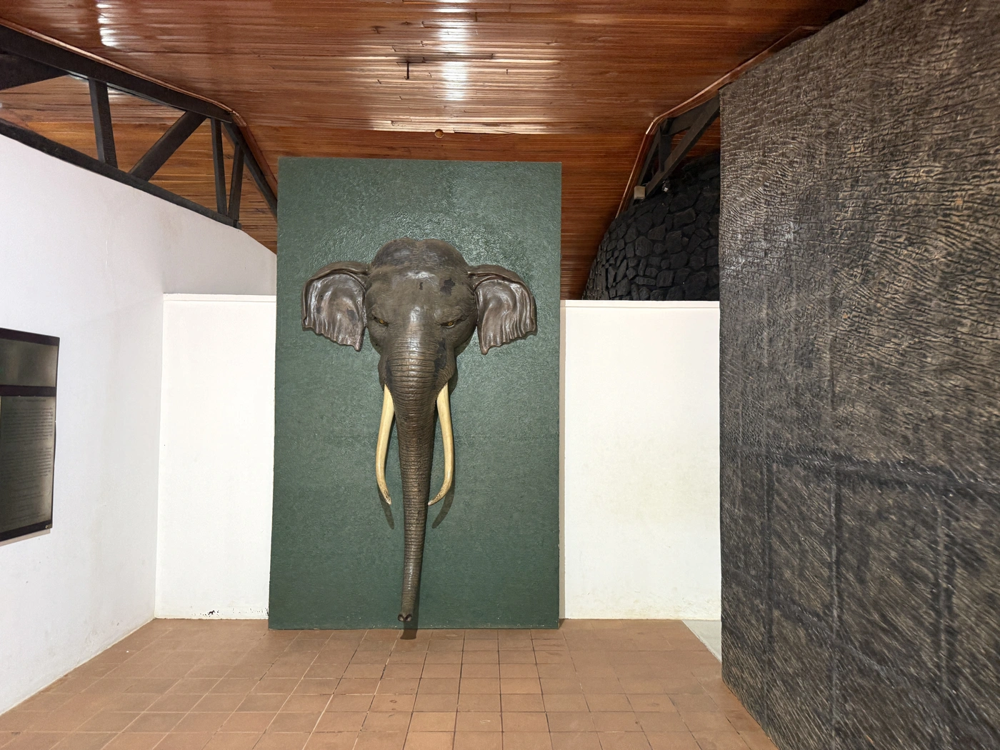 Sculpted elephant head with tusks on a green wall
