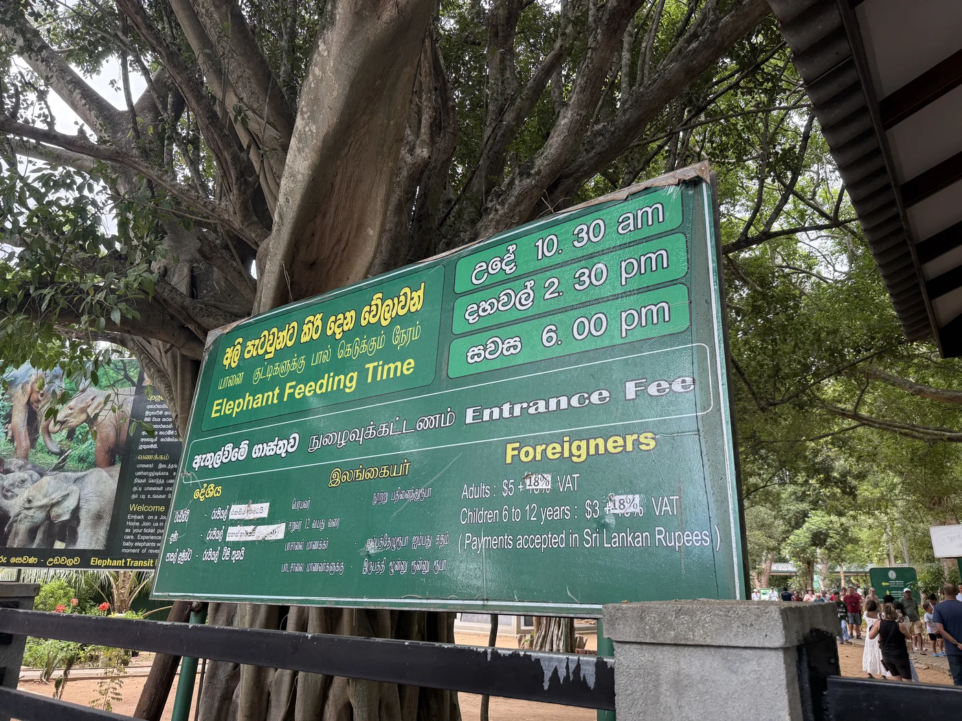 Green signboard showing feeding times and ticket prices