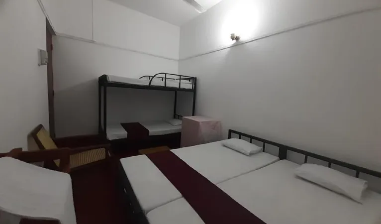 lazybear4 1