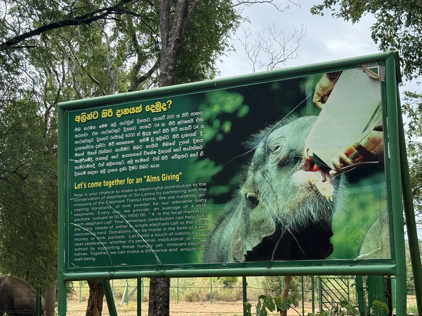 Signboard about donating milk for baby elephants