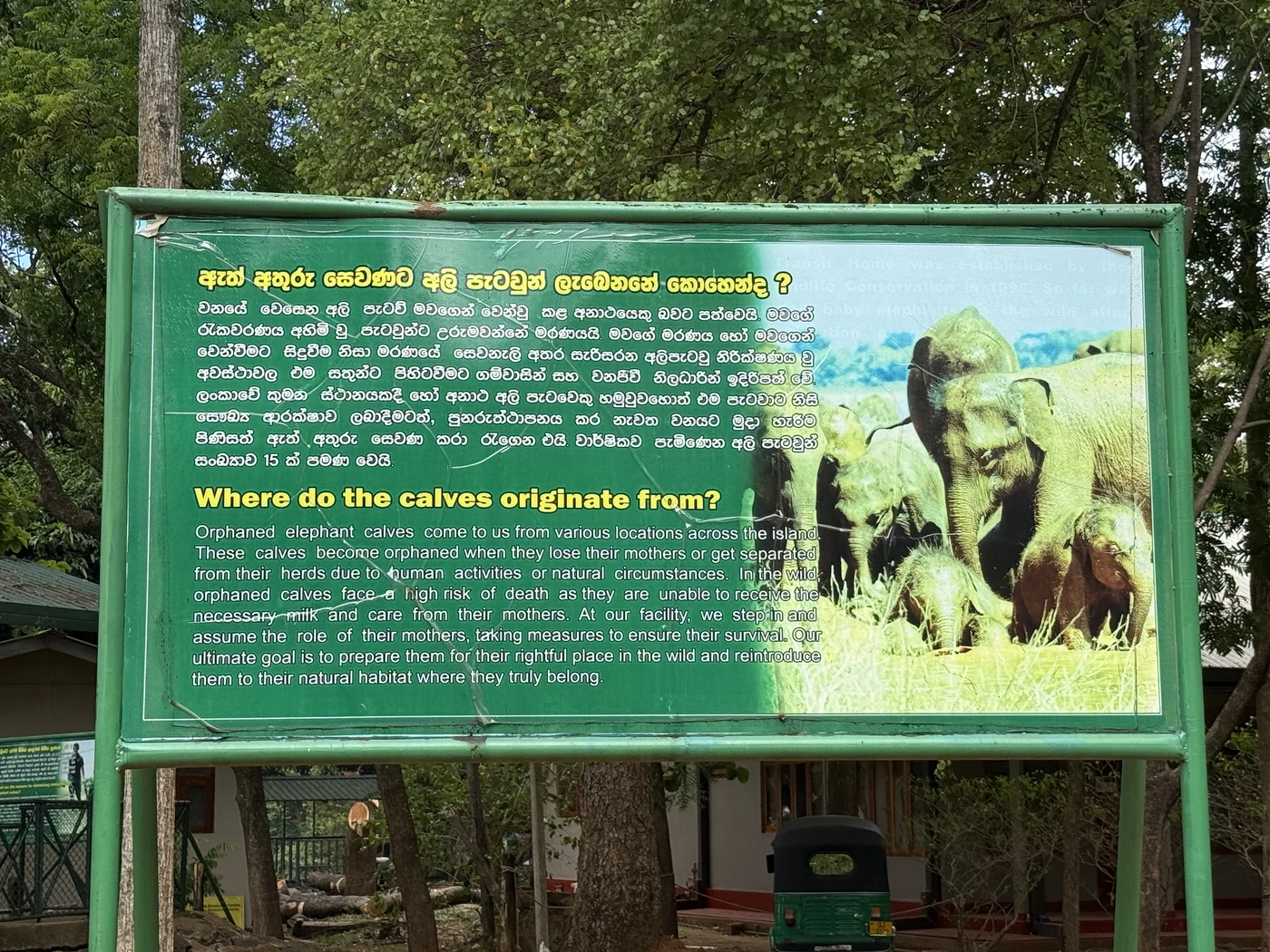 Signboard in Sinhala and English about orphaned calves