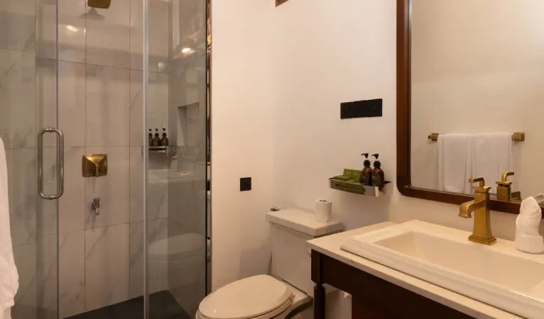 Bathroom with glass shower and brass fittings at Hotel Suisse Kandy