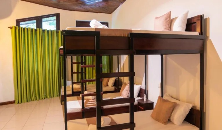 tribehouse2 1