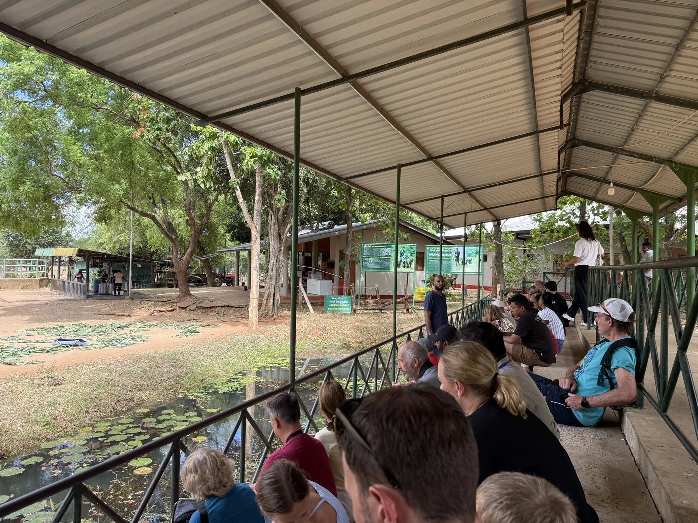 Visitors seated on tiered steps at the viewing area