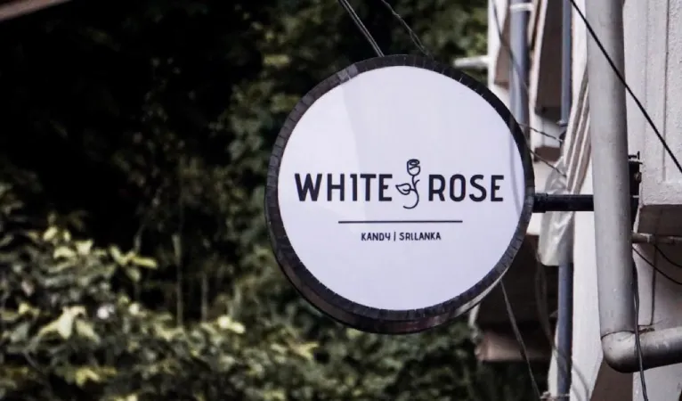whiterose1 1